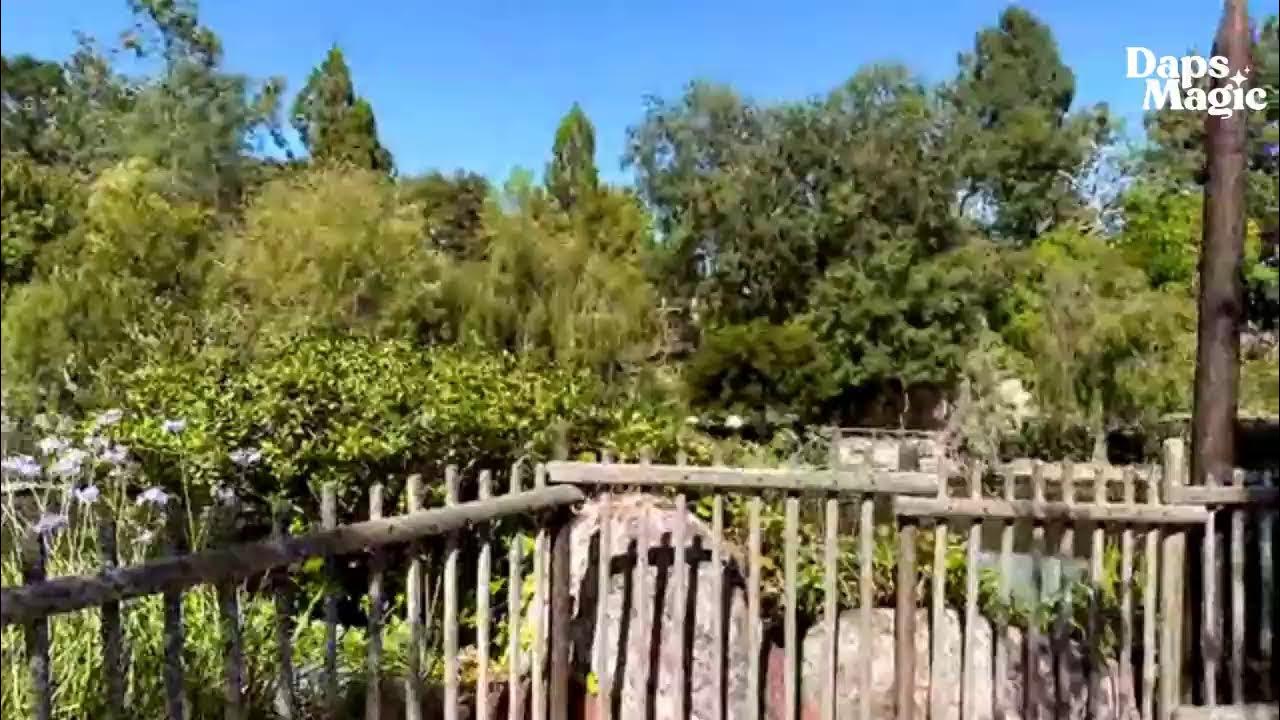 'Video thumbnail for LIVE from Disneyland on its 68th Birthday!'