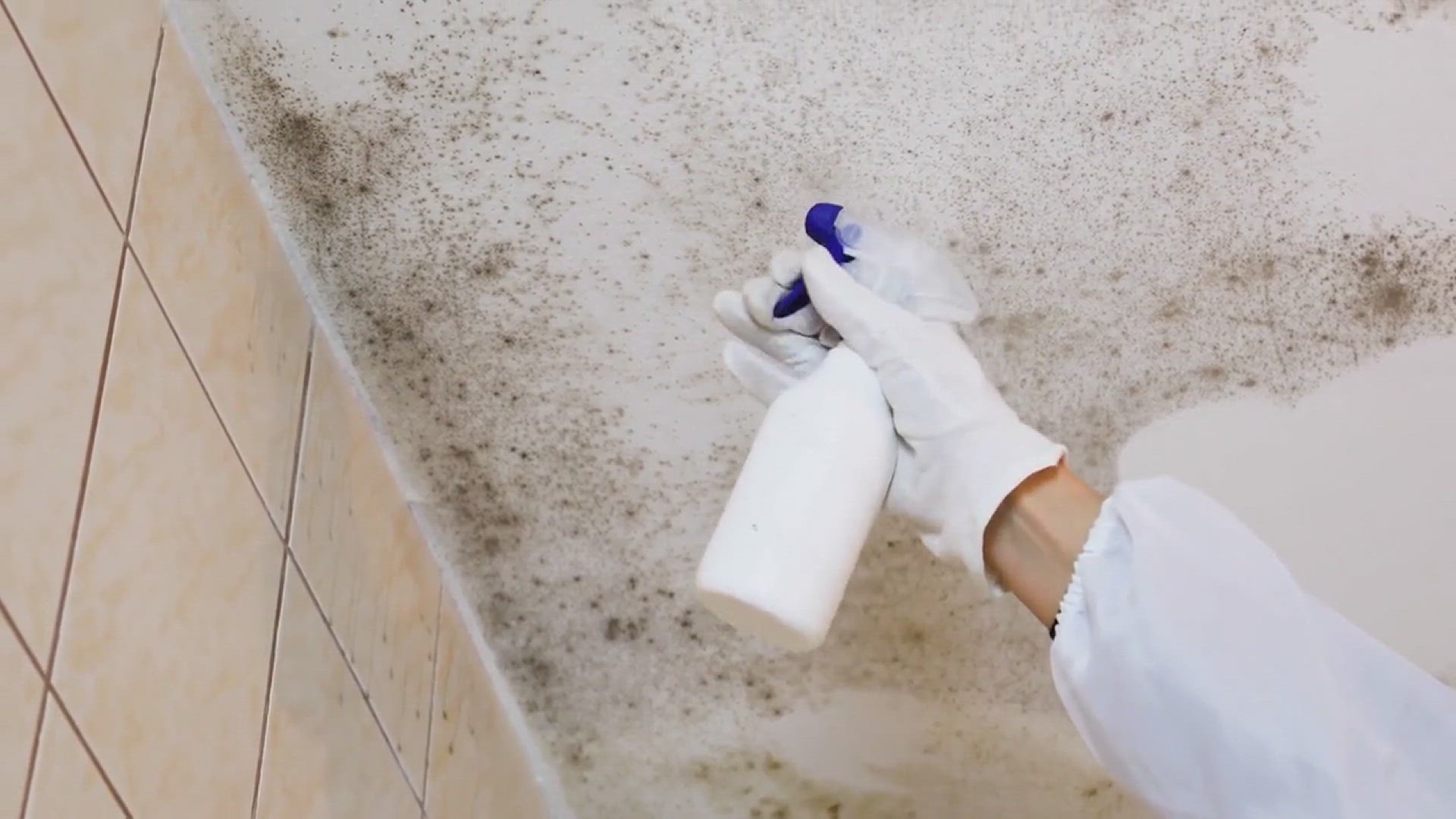 'Video thumbnail for How to Get Mold Out of Clothes'
