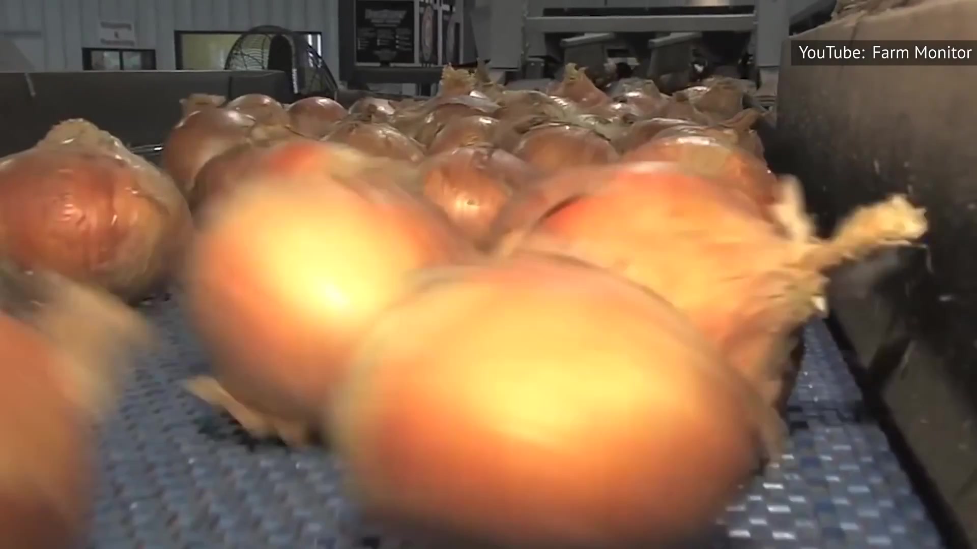 Video thumbnail for Here's What Really Makes Outback's Bloomin' Onion So Delicious