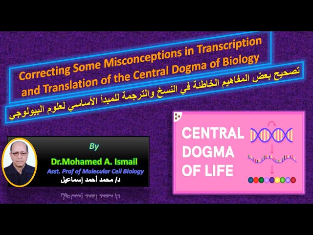 Video thumbnail for Correcting Some Misconceptions in Transcription, Translation for Genetic Code of DNA