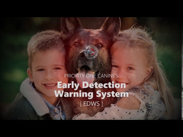 Video thumbnail for Priority1Canine Product Marketing Video