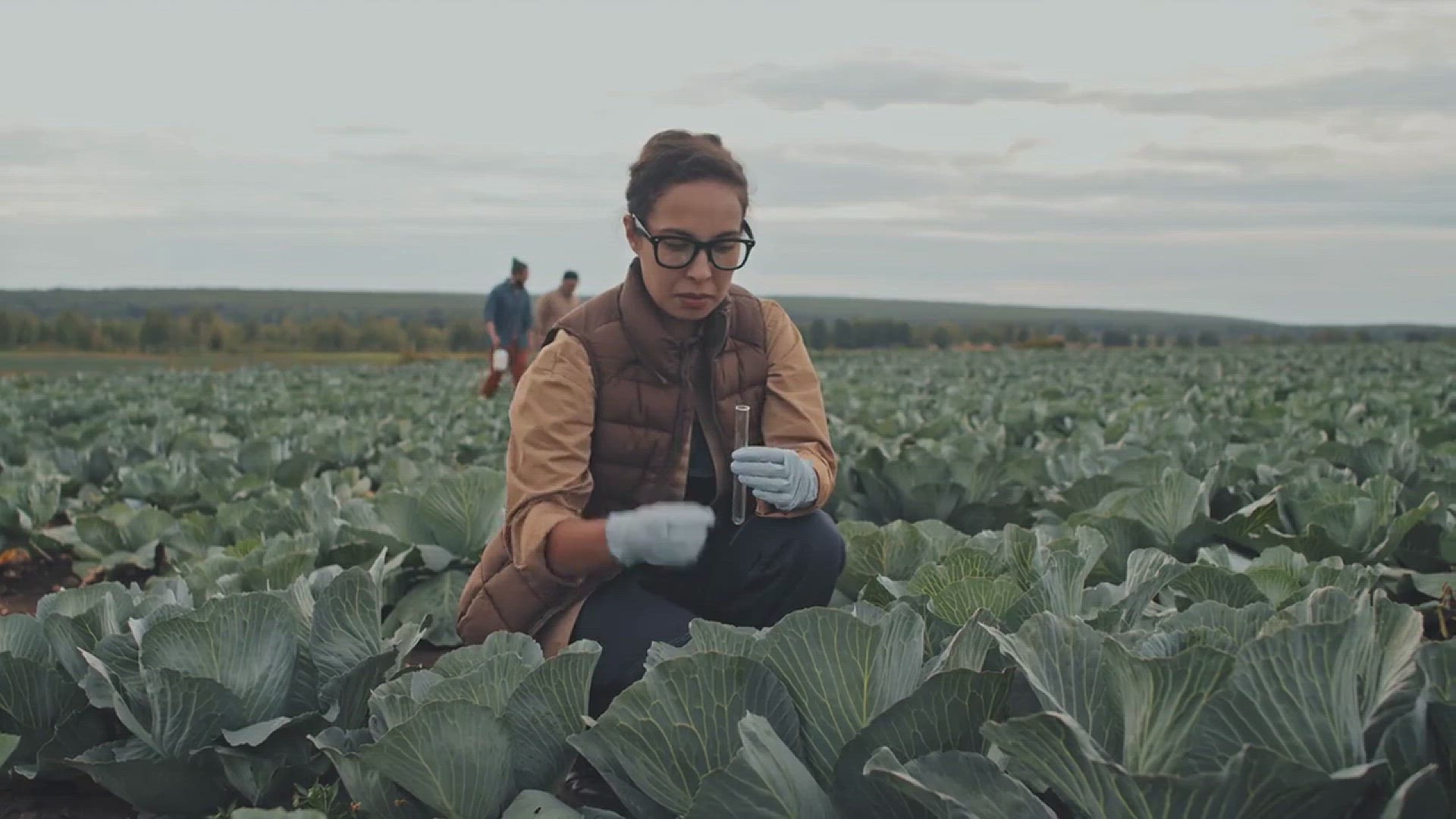 'Video thumbnail for How to Get Your Soil Ready for Planting'