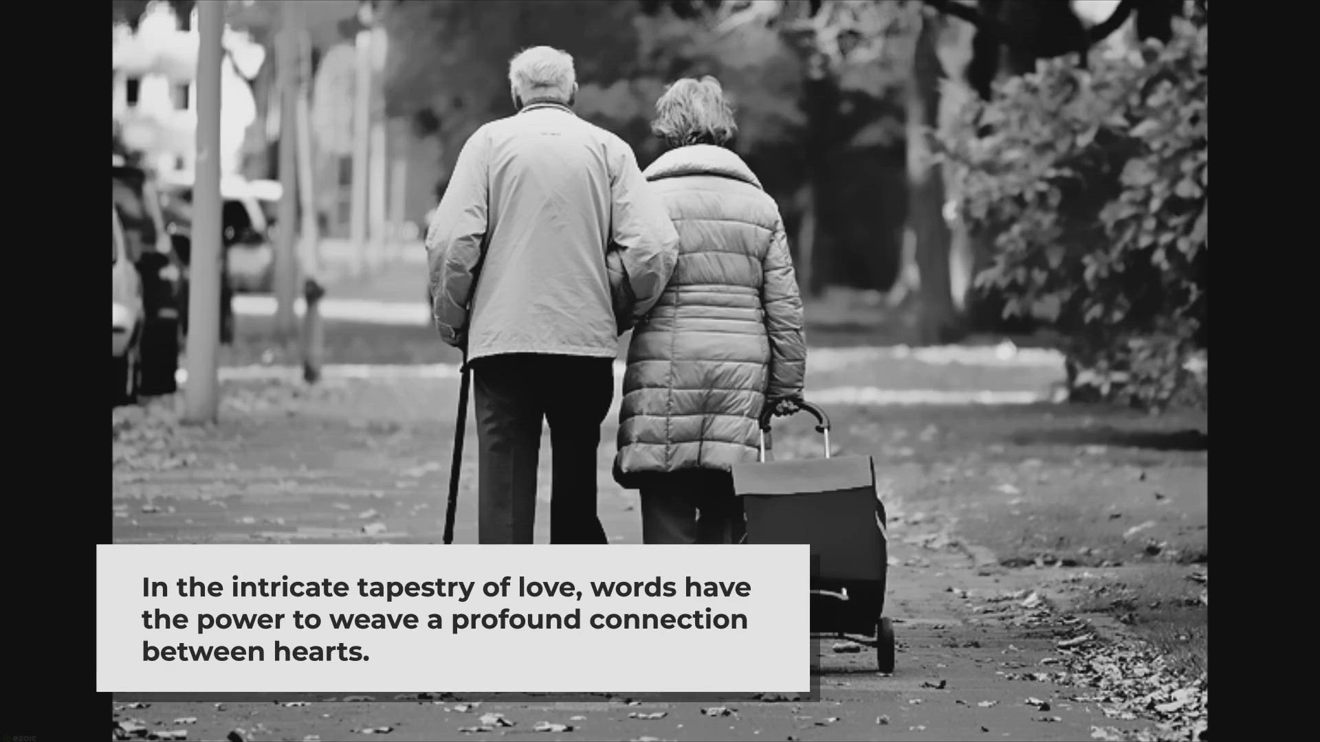 Video thumbnail for Heart Touching Relationship Quotes | Heart Touching Lines