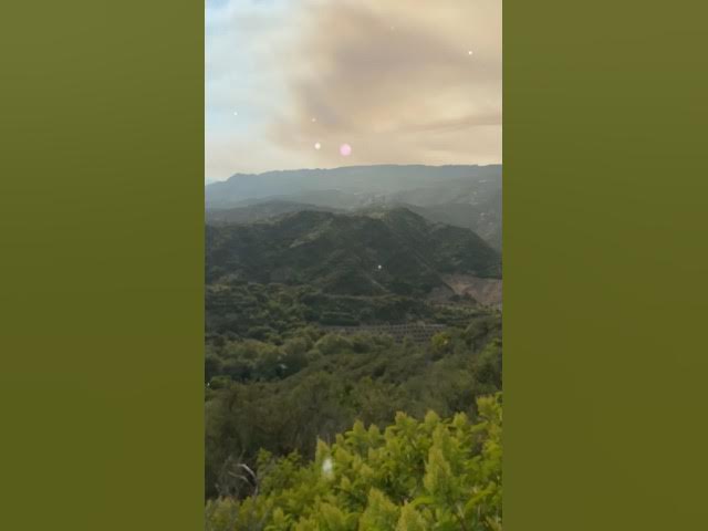 Video thumbnail for AMAZING FOREST 