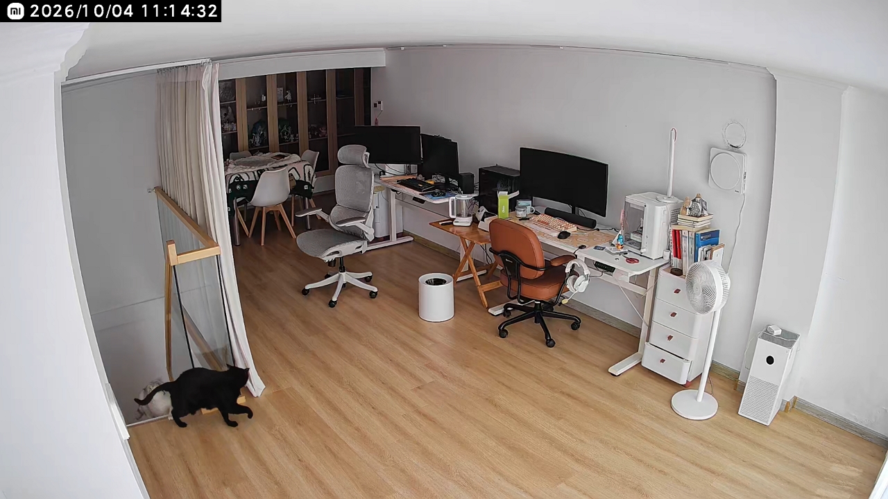 Video thumbnail for Two Cats Fight in Computer Room While Another Watches