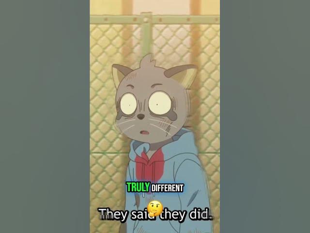 Video thumbnail for Animal Cops Investigate! Unforgettable Characters Will Blow Your Mind! #shorts