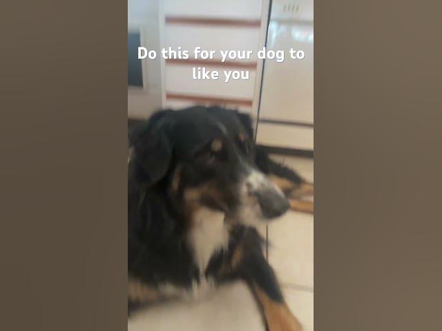 Video thumbnail for Did you do it