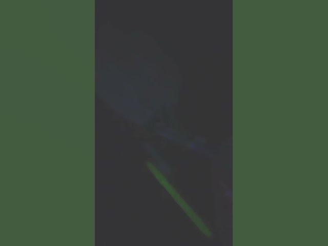 Video thumbnail for March 16, 2025