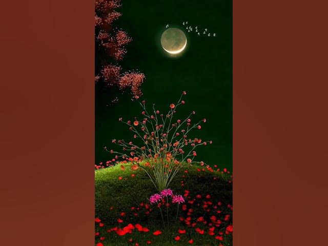 Video thumbnail for wonderful video #shortvideo #fantasy #satisfying #