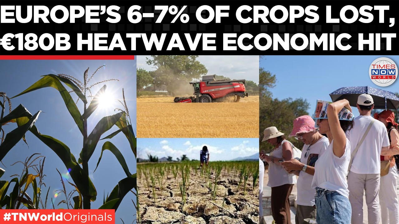 Video thumbnail for EXPLAINED: How Europe's Heatwaves Are Causing €180 Billion in Economic Damage | Times Now World
