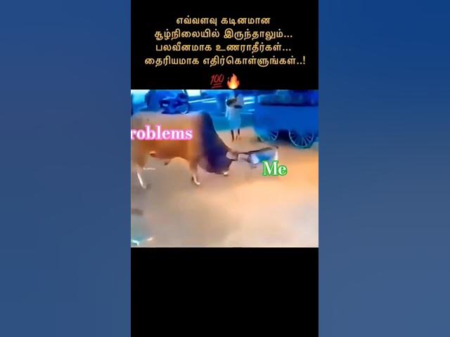 Video thumbnail for Shifa Herbal Napkin #businessowners #motivation #businessproblemsolution