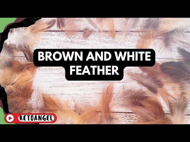 'Video thumbnail for The Spiritual Meaning of Brown and White Feathers'