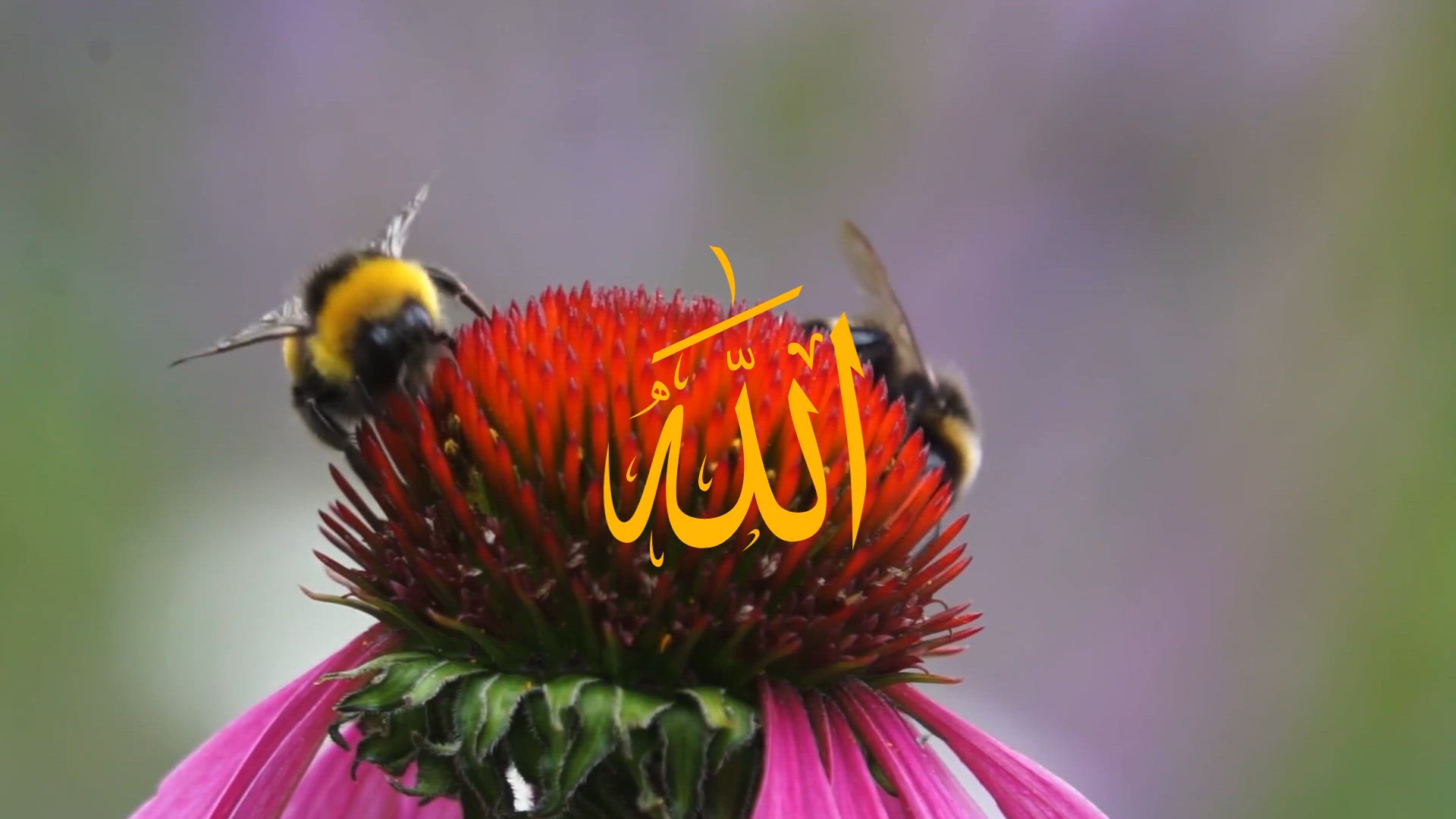 Video thumbnail for Tilawat e Qural 4 Qul Recitation