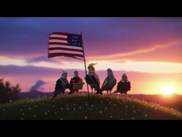 Video thumbnail for Patriotic bird movie trailer