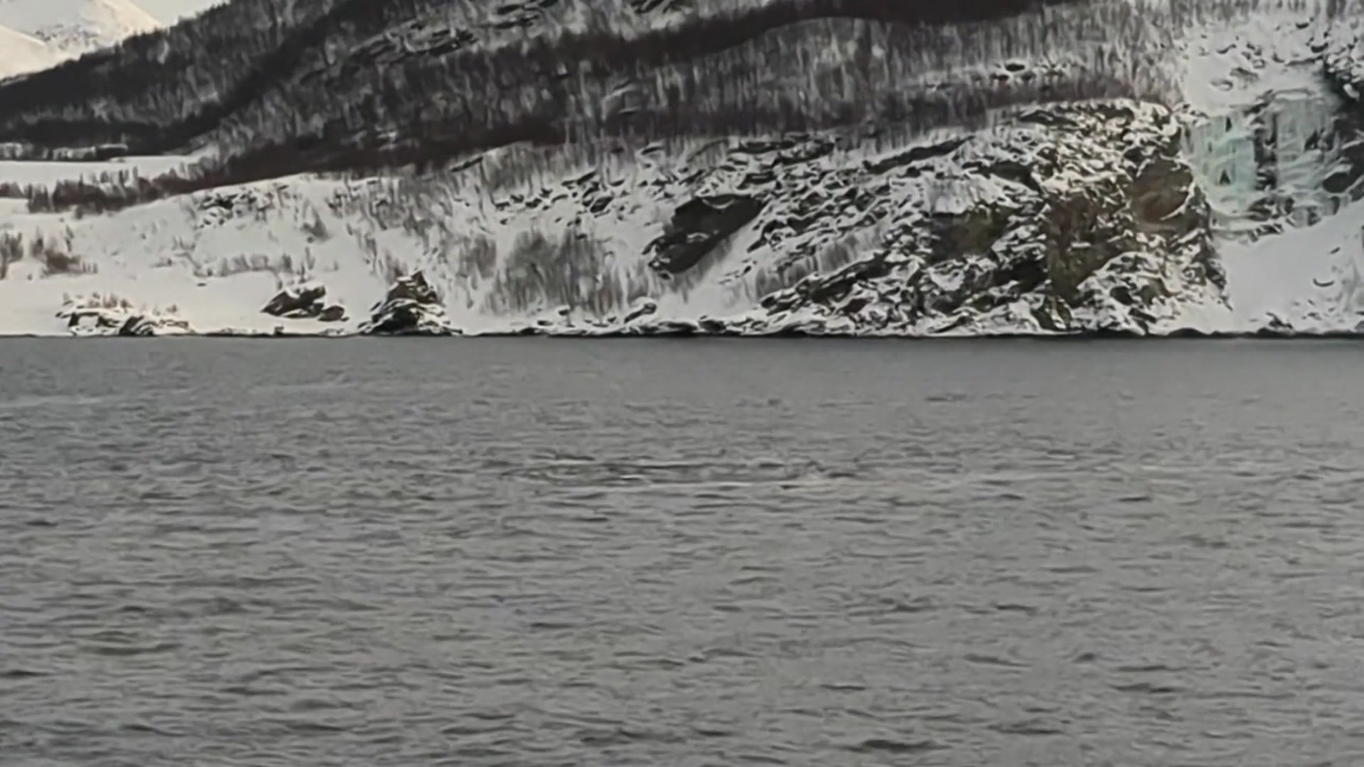 Video thumbnail for Whales Diving