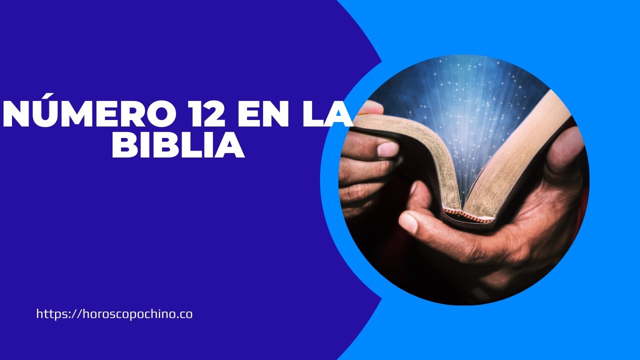 'Video thumbnail for Número 12 en la biblia: video blog'