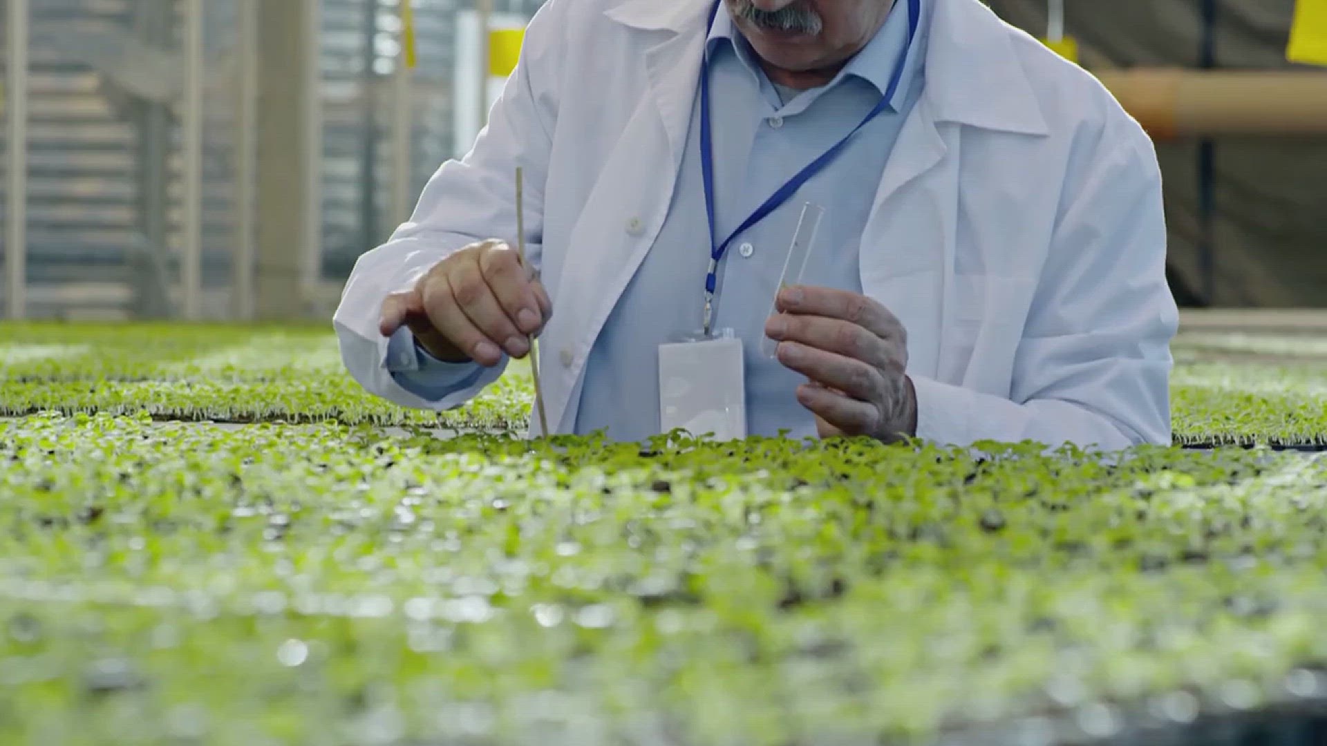 'Video thumbnail for How to Properly Water Trees and Shrubs'