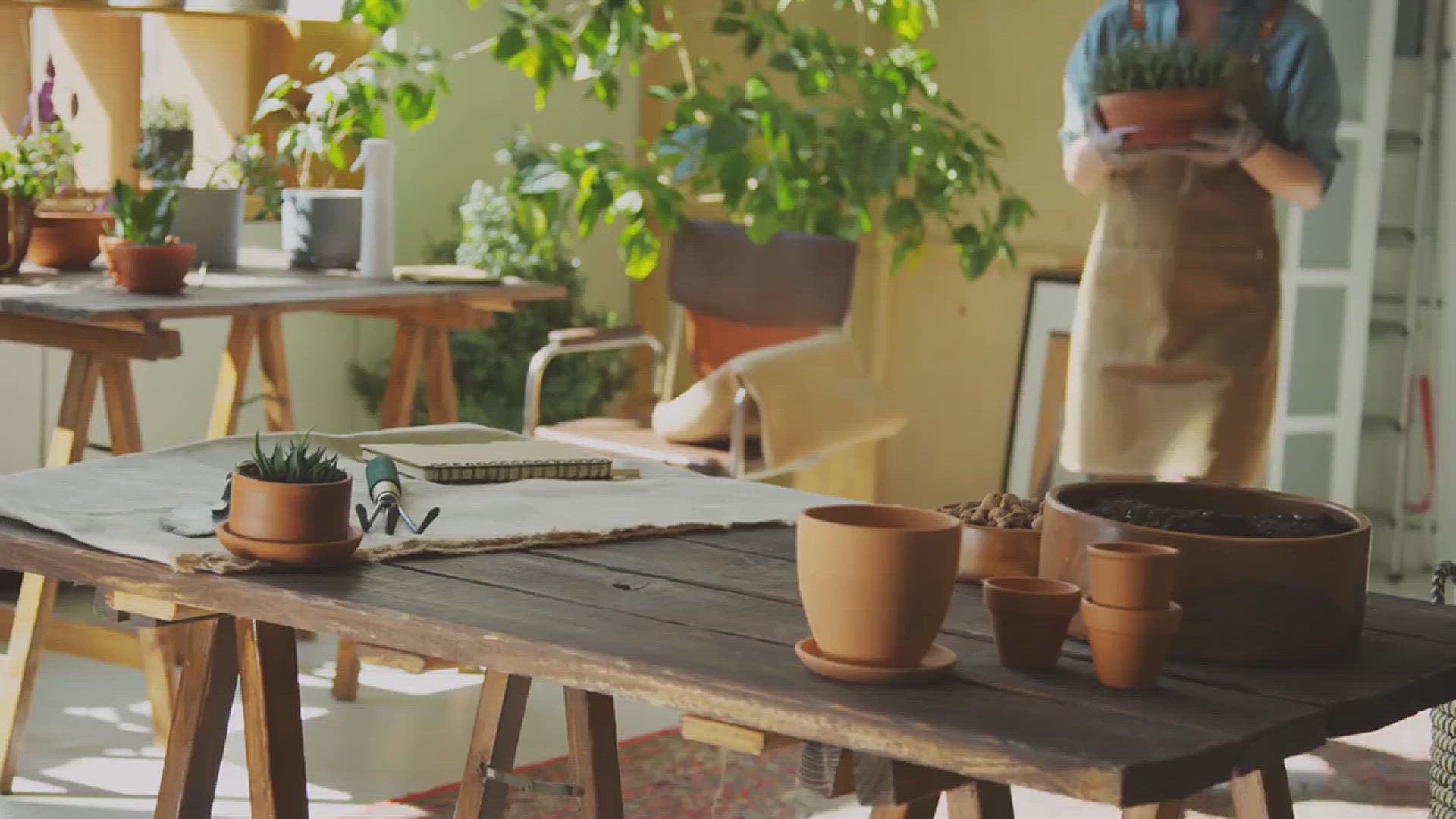 'Video thumbnail for How to Grow Basil Year-Round'