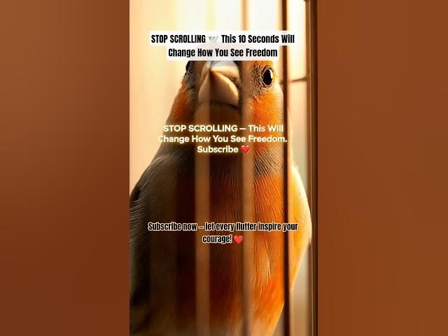 Video thumbnail for 🕊️ One Brave Flutter That Will Change How You See Freedom |Must Watch #shorts