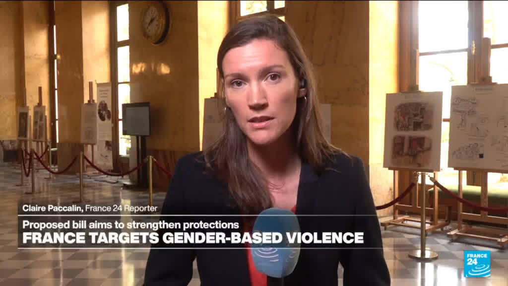 Video thumbnail for Gender-based violence: French proposed bill aims to strengthen protections