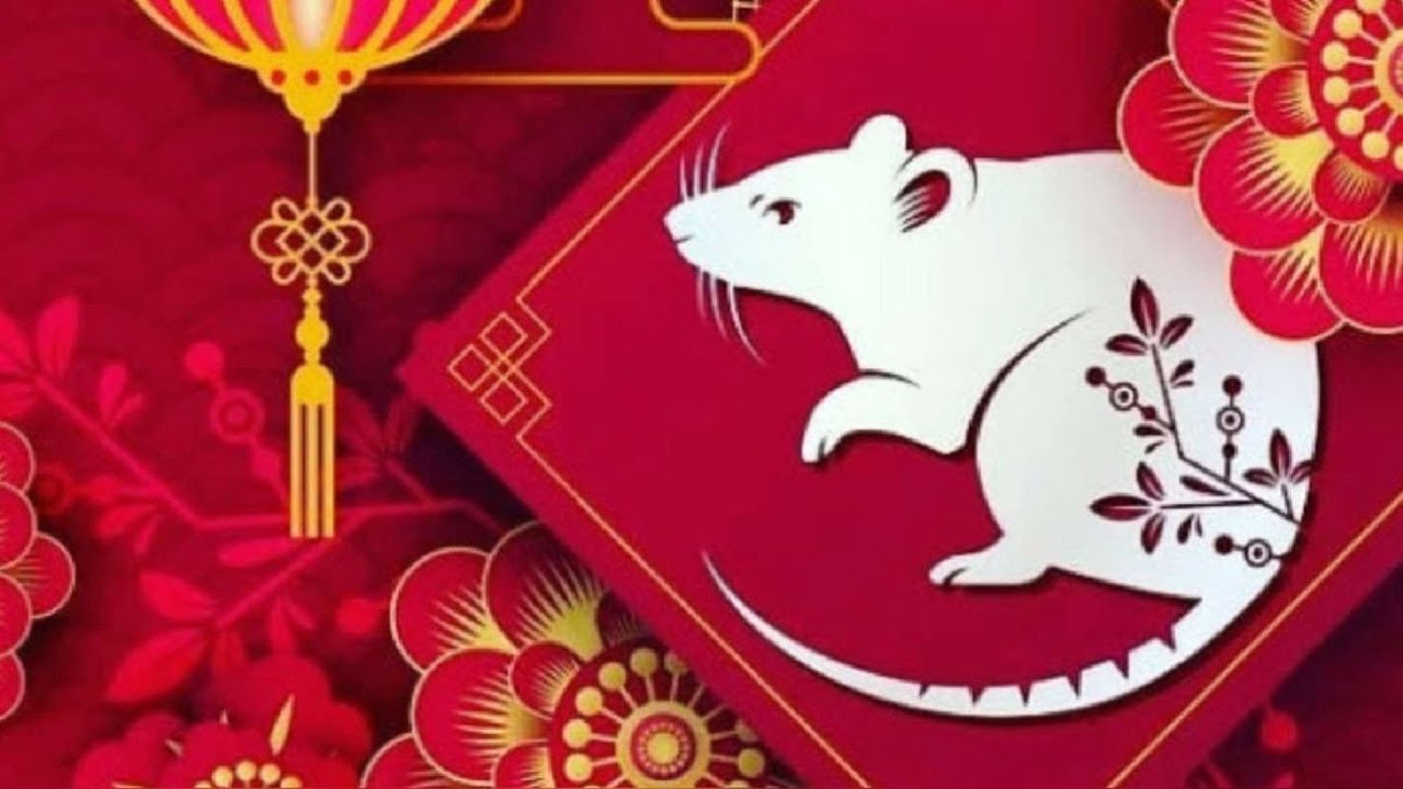 'Video thumbnail for Rat Lucky color 2024: video blog'