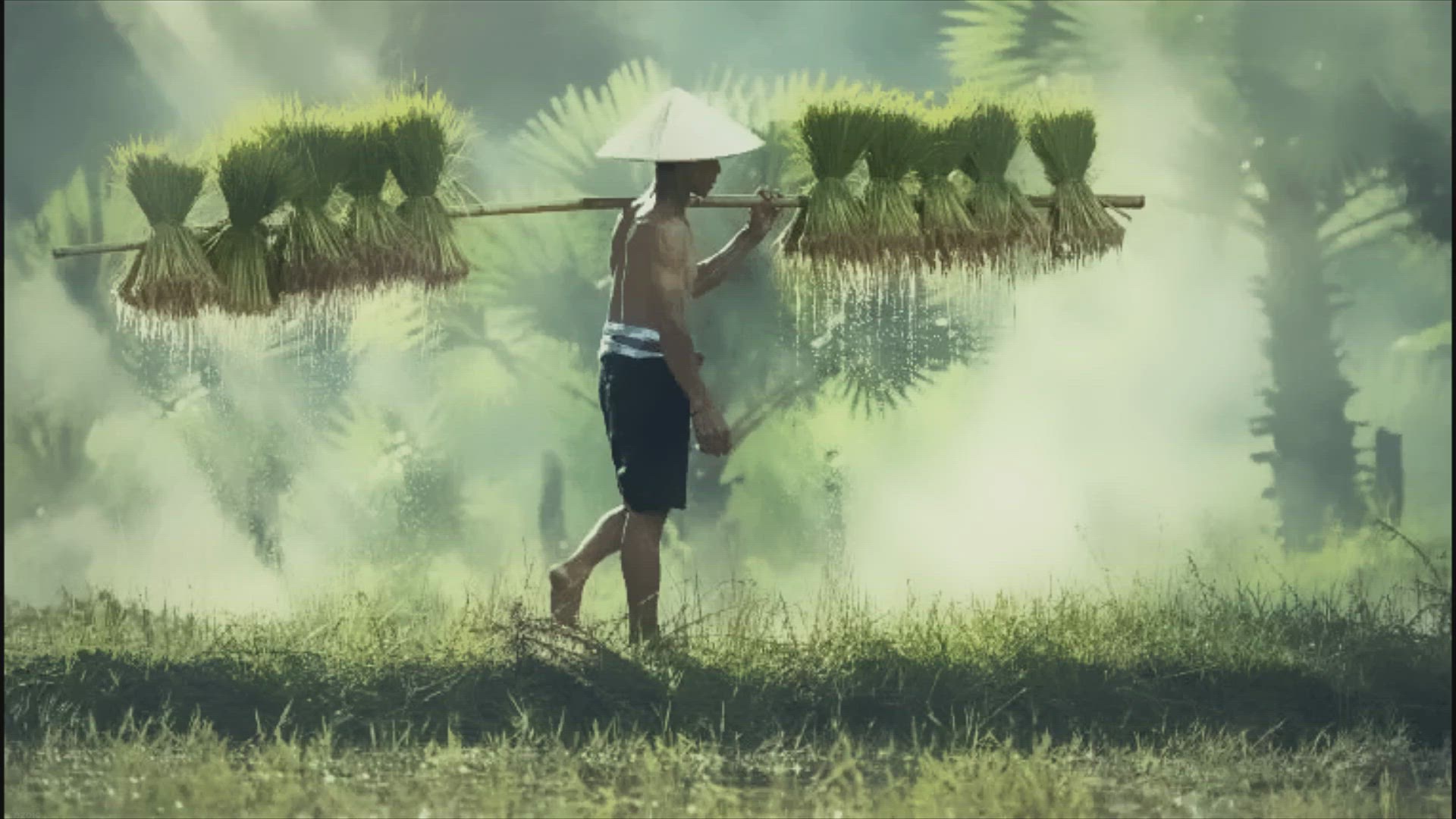 Video thumbnail for Ihre Reise in ein persönliches Fotobuch verwandeln