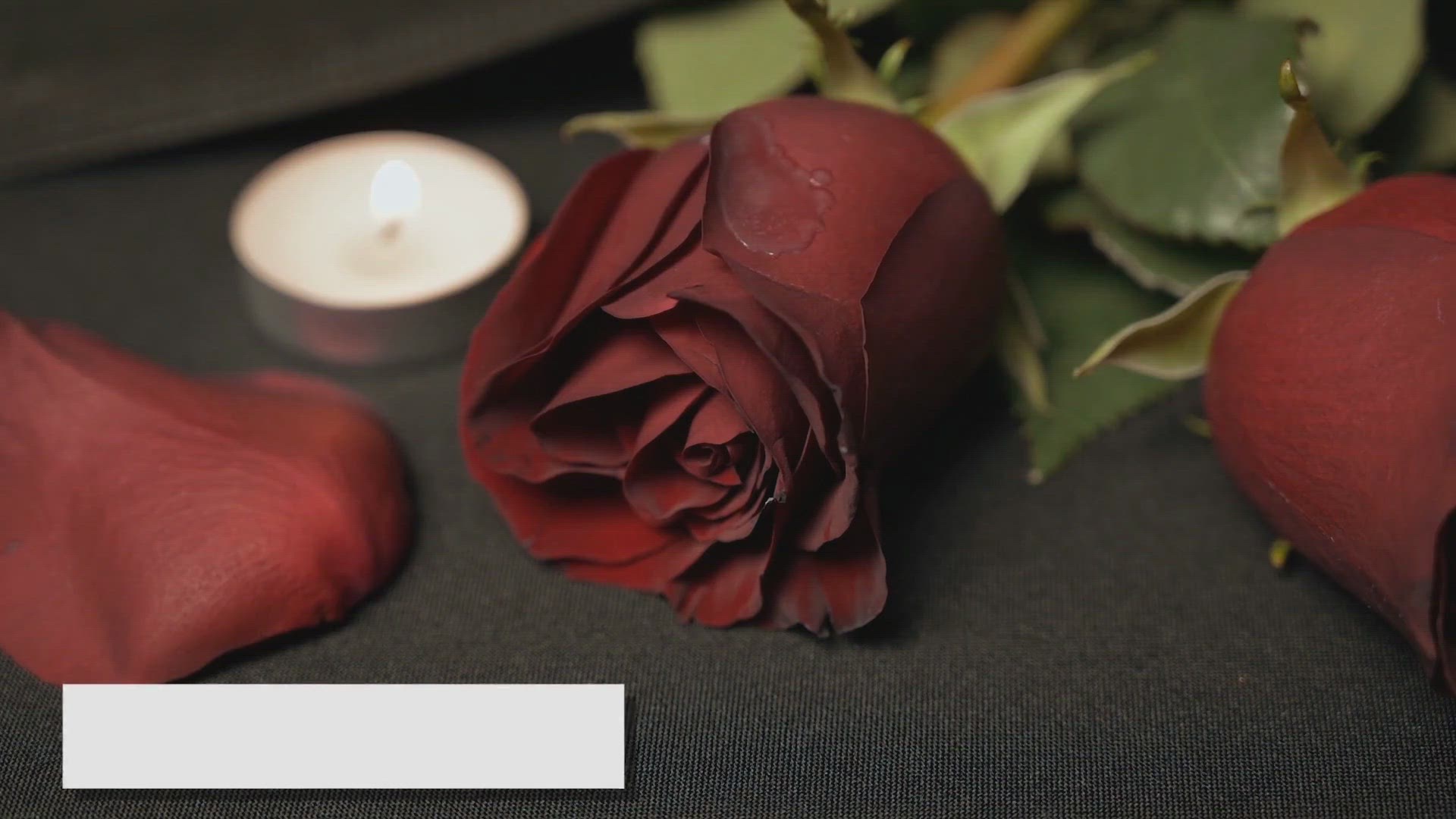 Video thumbnail for dear narcissist poem