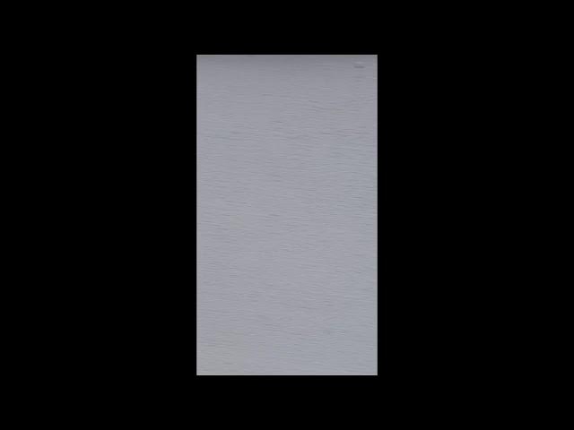 Video thumbnail for Samsung Galaxy S21+ FHD 60FPS Video | Changing Lenses Handheld