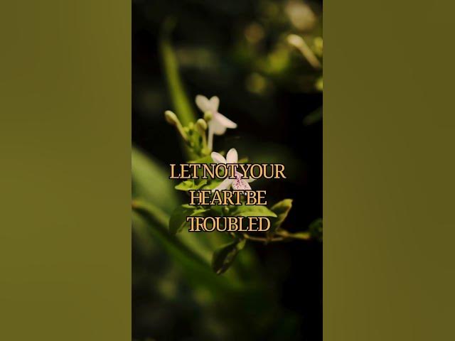 Video thumbnail for John 14:27