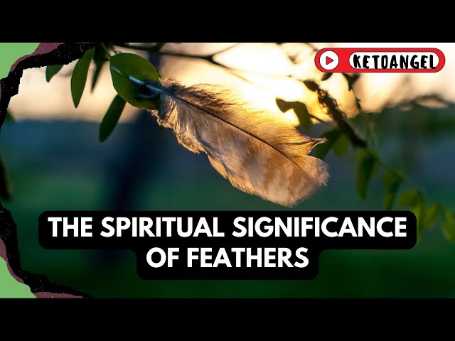 'Video thumbnail for The Spiritual Significance of Feathers in the Law of Attraction'