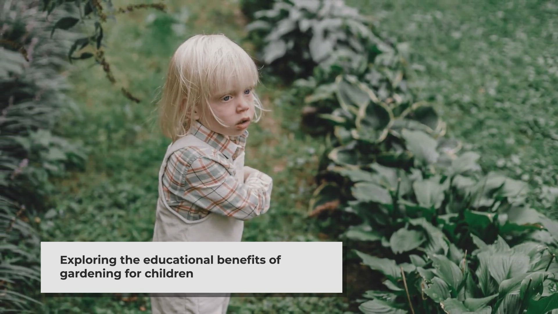 Video thumbnail for Gardening with Kids: A Fun Way to Grow Minds and Meals