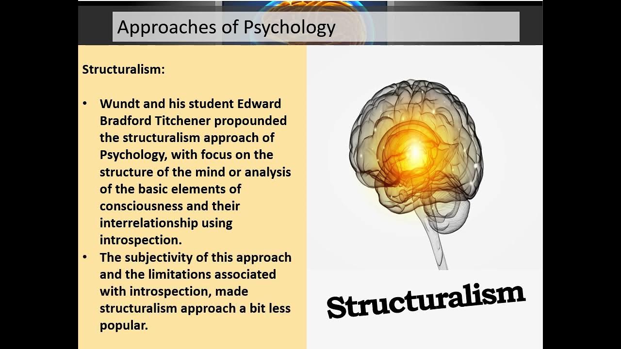 Video thumbnail for Approaches of Psychology