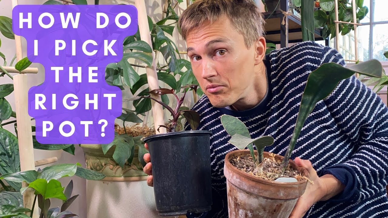 Video thumbnail for CONTAINER INSPIRATION for Potted Plants - Pros & Cons of Different Plant Pots