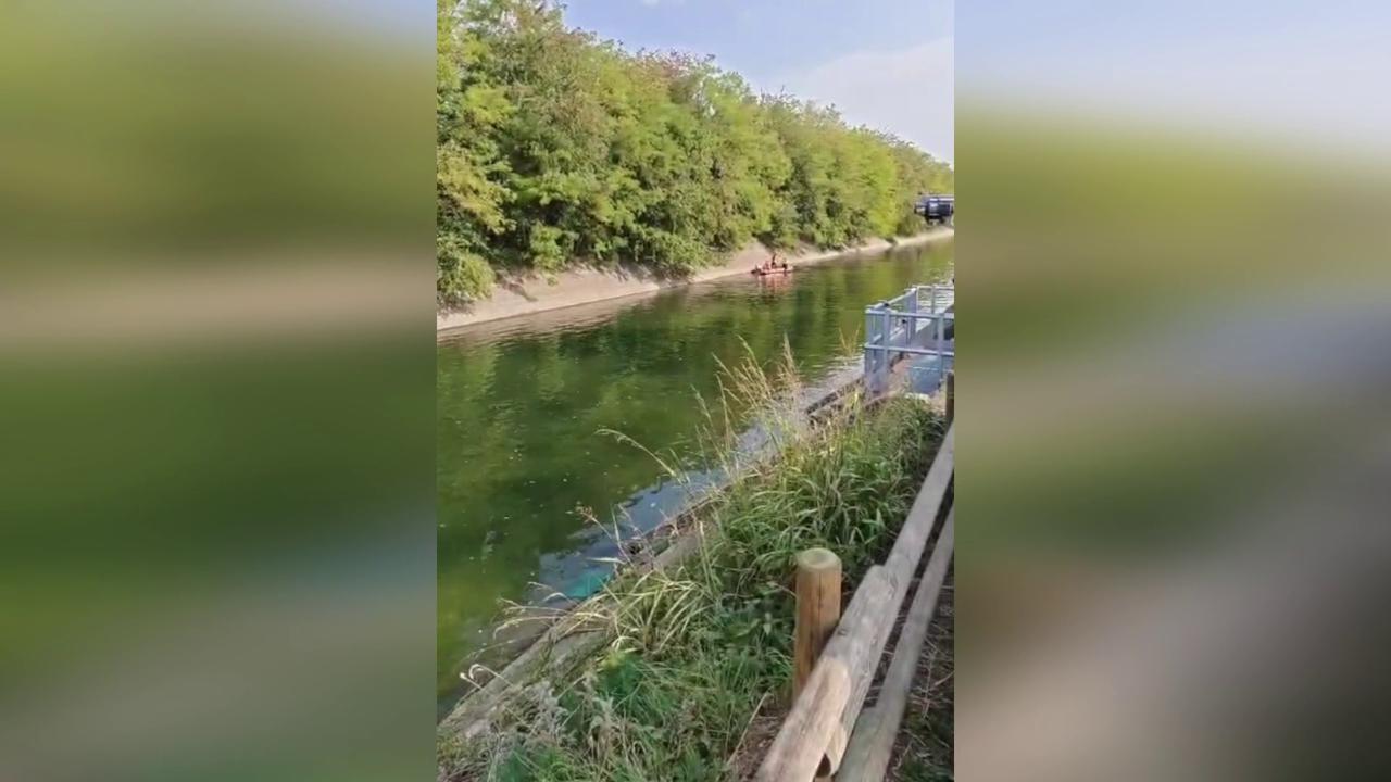 Video thumbnail for Italy: Divers Rescue Frightened Stag Trapped In Italian Canal.