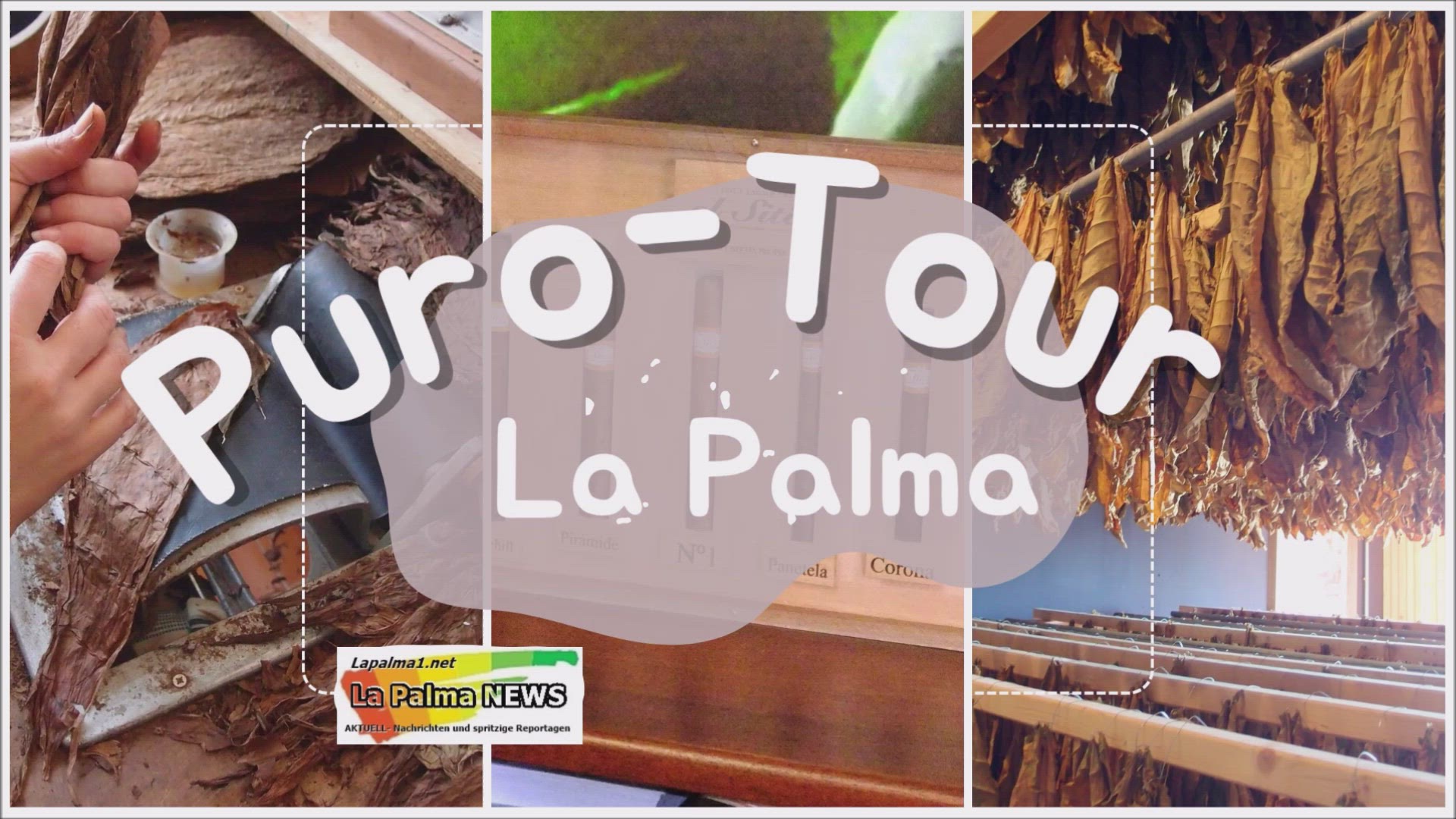 Video thumbnail for Puro-Tour
