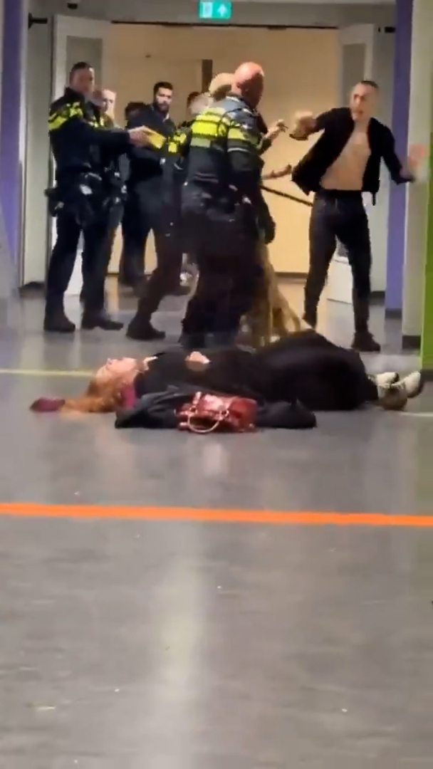 Video thumbnail for Dutch police filmed throwing pregnant woman to ground