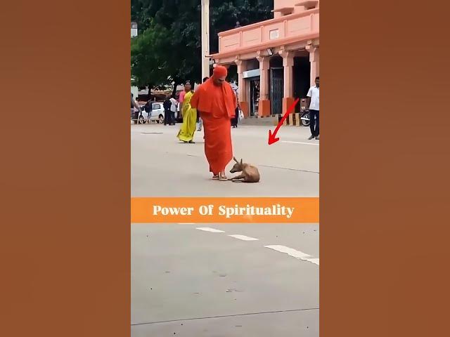 Video thumbnail for দেখুন একজন সাধুর কী?ক্ষমতা?একটি অসুস্থ প্রাণী কি পায়ে সোয়াই ঠিক করেদেjoy Shiire Krishna:#shortvideo