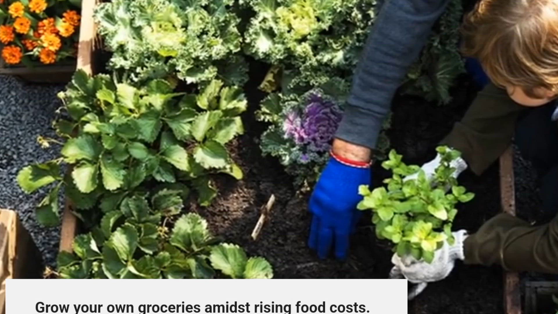 Video thumbnail for Garden Planning for New Year 2025