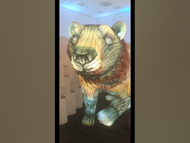 Video thumbnail for Lektrik no Wet' n Wild SuperFérias e show de luzes