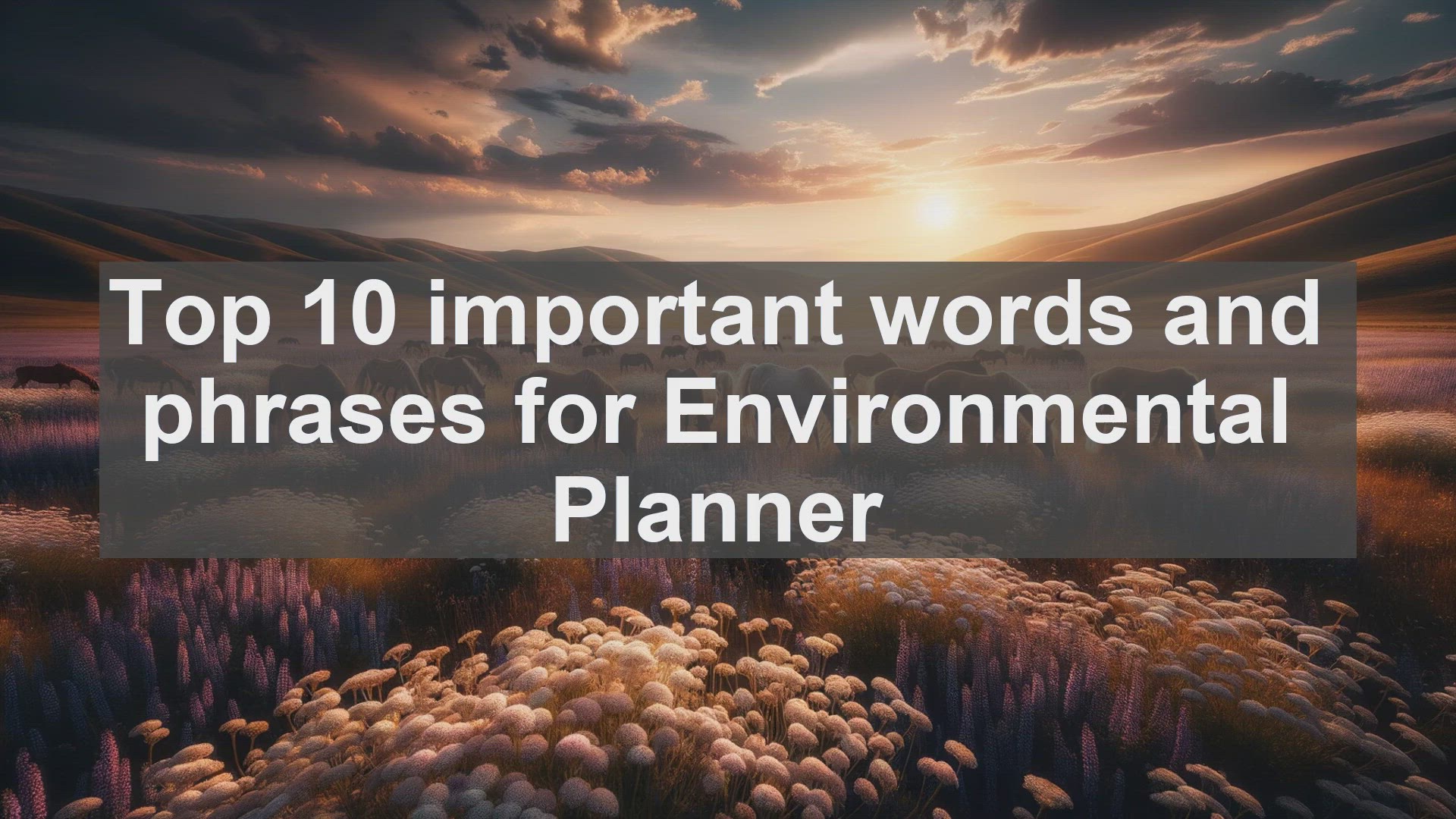 'Video thumbnail for Top 10 important words and phrases for Environmental Planner'