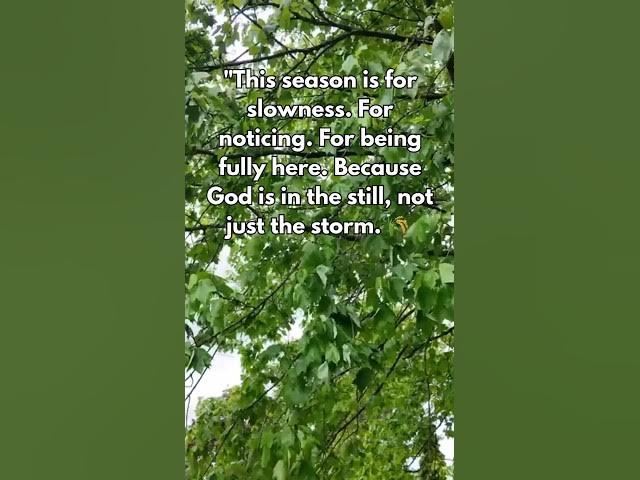 Video thumbnail for Reminder to cherish every moment this season #slowliving #motivational #mother #shorts
