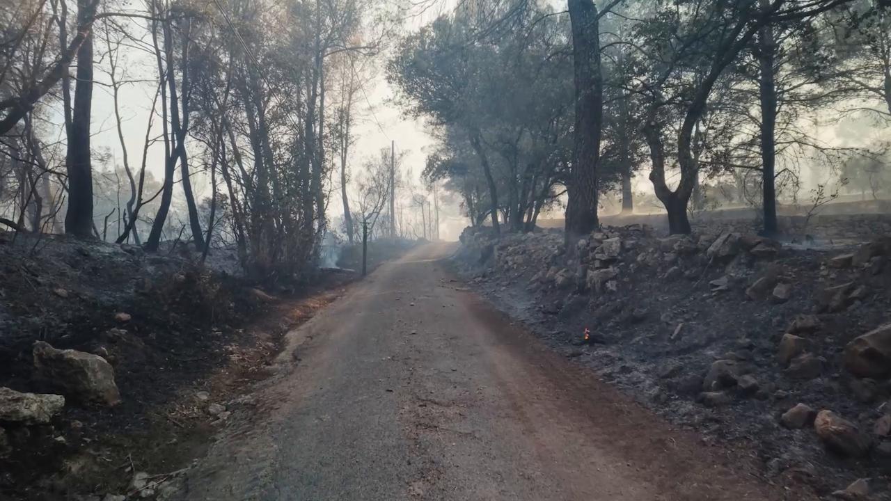 Video thumbnail for France: Firefighters battle wildfire in southern France's Cotignac.