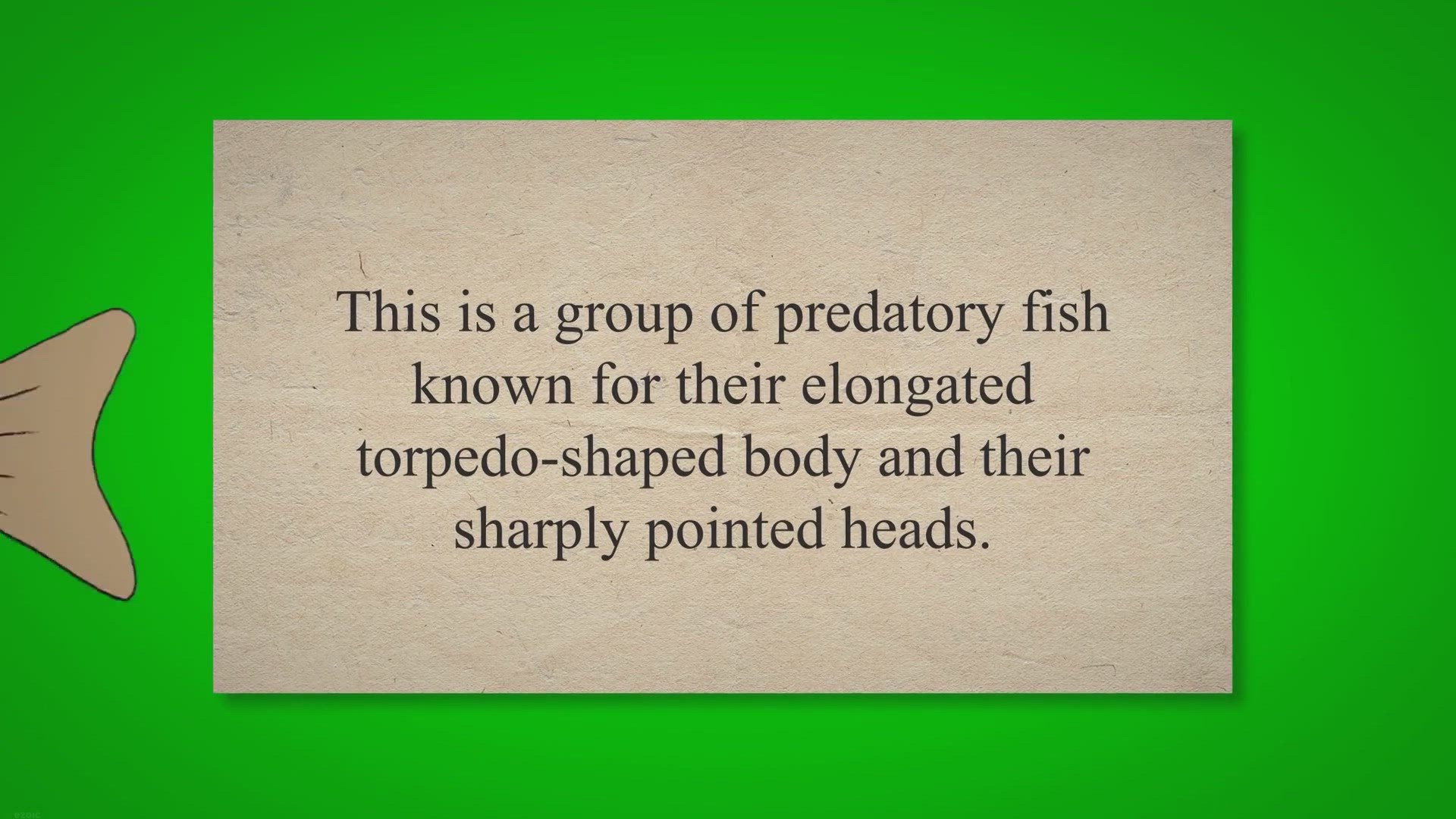 Video thumbnail for All About Pike: The Water Wolf