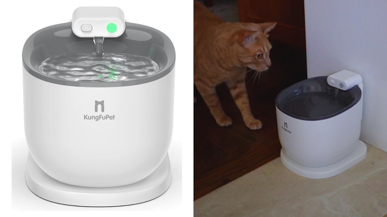 Video thumbnail for KungFuPet Wireless Pet Water Fountain with Motion Sensor Review