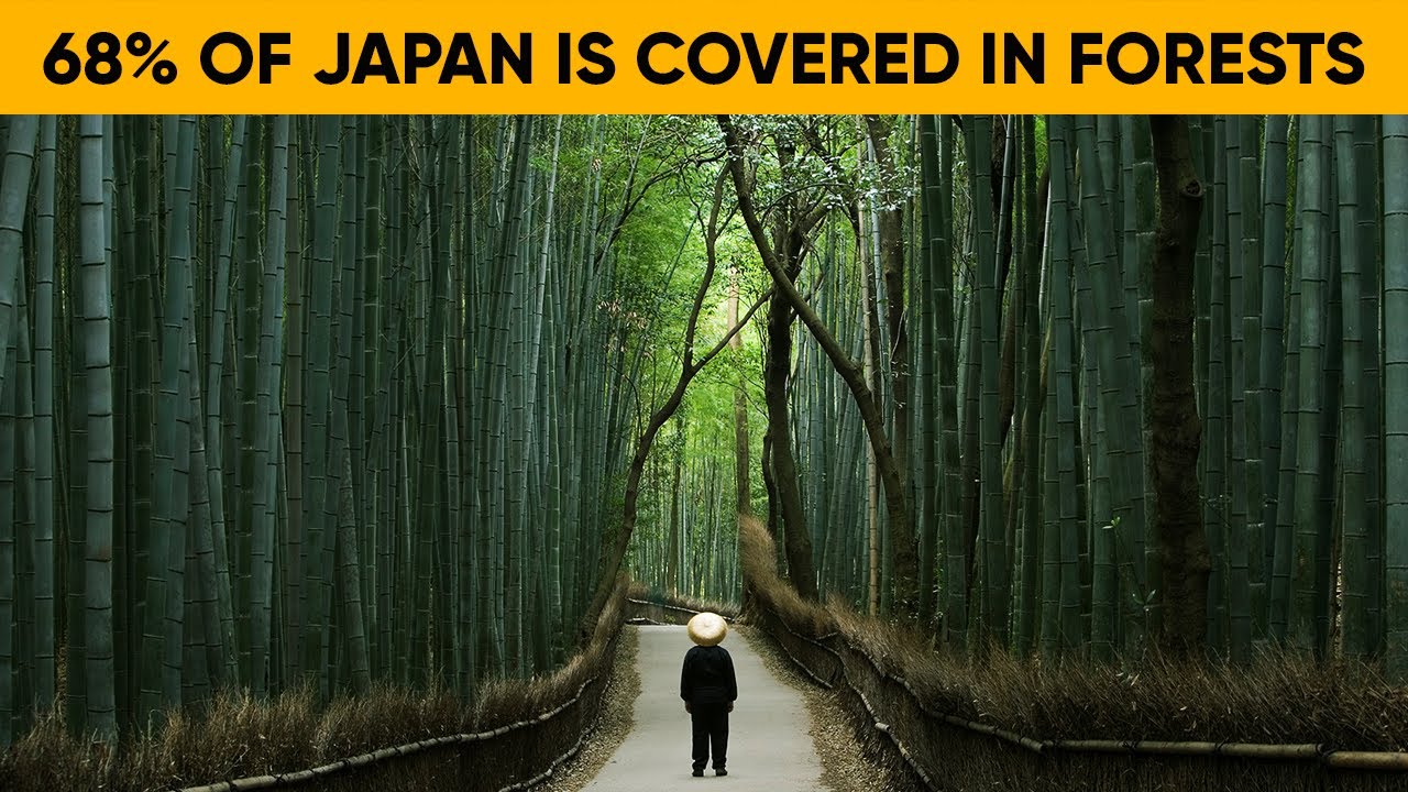 Video thumbnail for 10 Facts That Make Japan Stand Out from Other Countries