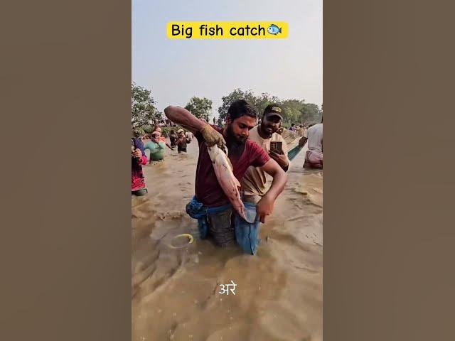 Video thumbnail for Giant fish catch! # #viral #group #world #youtubeshorts #global