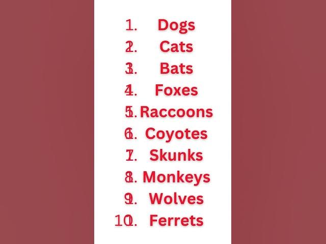 Beware of Rabies: Animals That Can Spread the Virus