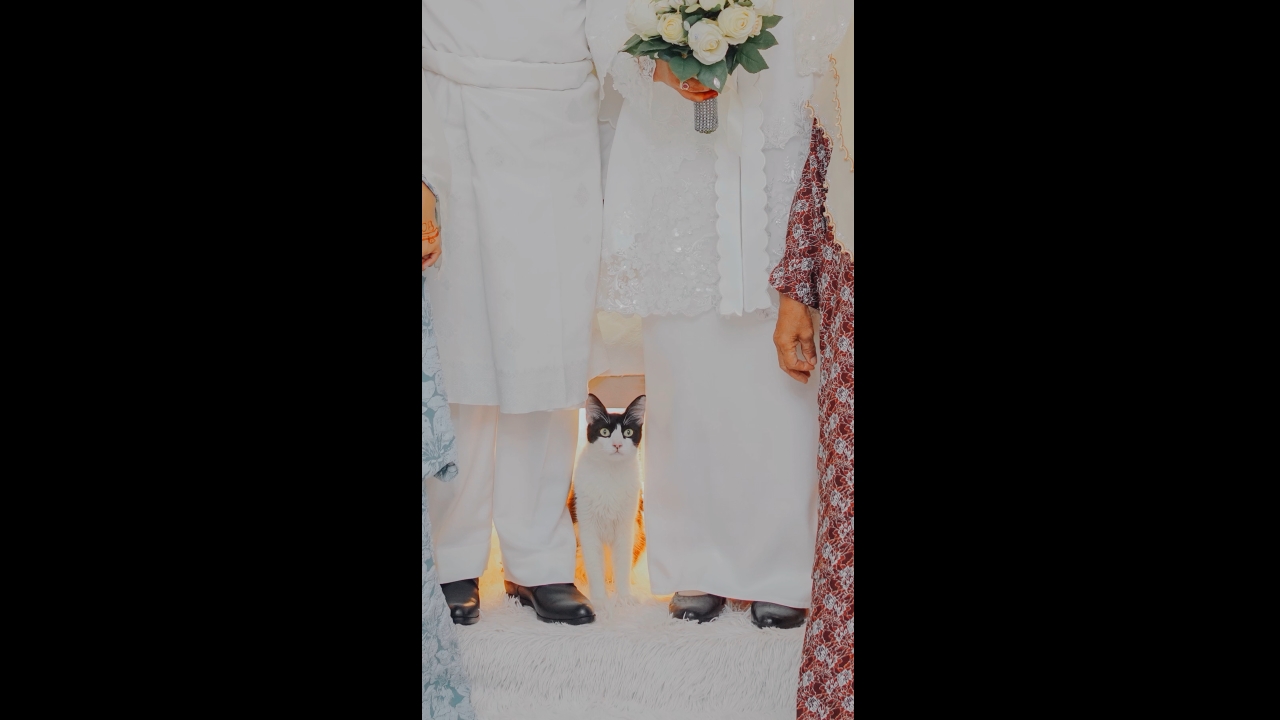 Video thumbnail for Cat Joins Couple During Wedding Photoshoot in Kuala Lumpur
