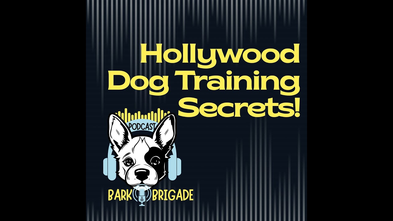 Video thumbnail for Hollywood Dog Training Secrets