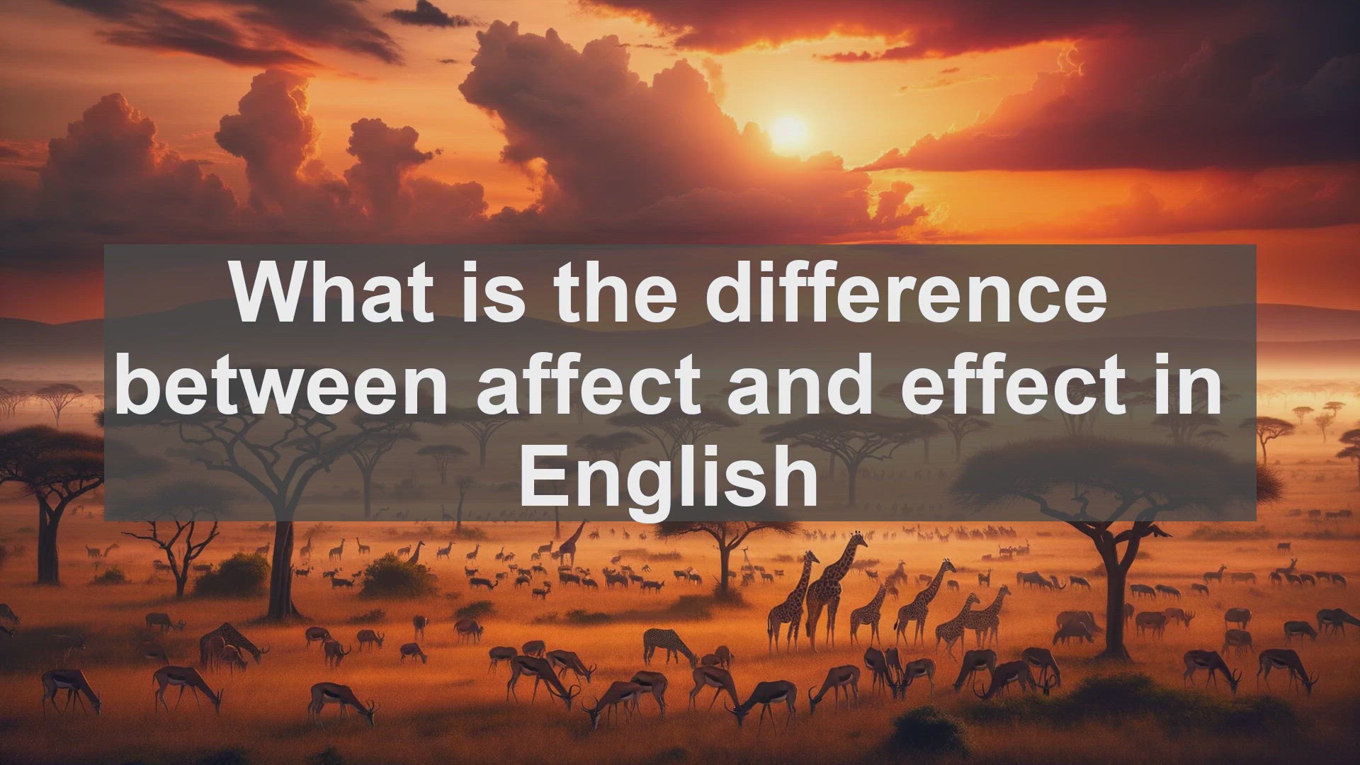 'Video thumbnail for What is the difference between affect and effect in English?'